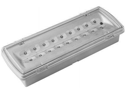 LED nouzové svítidlo Ecolite LEDER 2 TL507L-LED, 20xSMD5730, 5000K, IP65 - zvìtšit obrázek